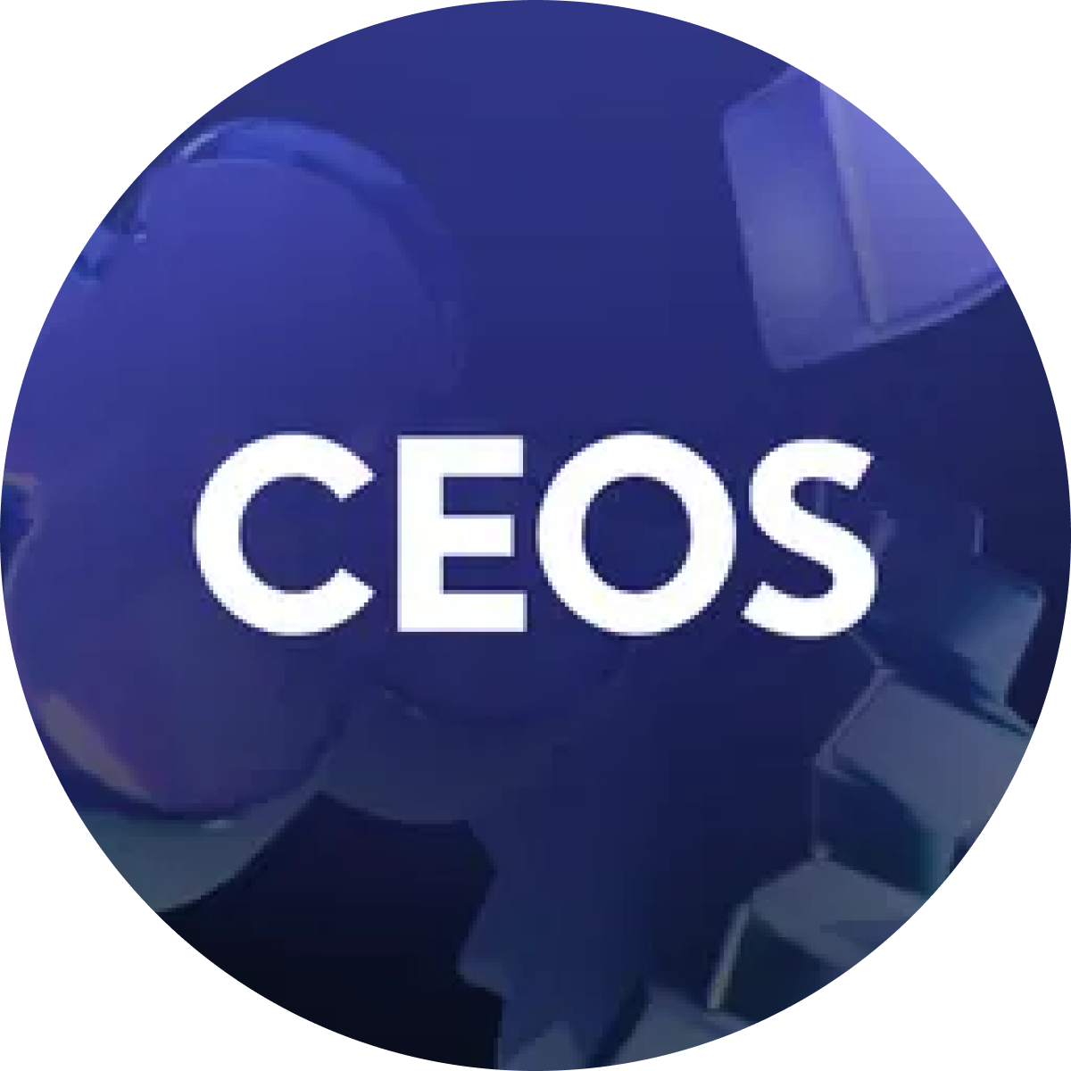 Sinchon University Alliance IT Startup Club, CEOS